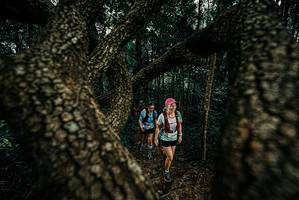 BIB: 
                            <button type="button" onclick="openModal(25679497)" class="btn btn-primary btn-sm float-right btn-popup" data-toggle="modal" data-target=".modal-high-quality">
                        <i class="fas fa-shopping-cart"></i> Add to Cart
                    </button>
                                            <button type="button" onclick="isThisMe(25679497, true)" class="btn btn-success btn-sm float-right btn-popup btn-isme hidden" data-toggle="tooltip" data-placement="bottom" title="นี่คือรูปของคุณใช่ไหม คลิกที่นี่เพื่อเอาเข้าอัลบั้ม">
                        <i class="fas fa-plus"></i> Add to album
                    </button>
                    <button type="button" onclick="isThisMe(25679497, false)" class="btn btn-warning btn-sm float-right btn-popup btn-isnotme hidden">
                        <i class="fas fa-ban"></i> Remove from album
                    </button>